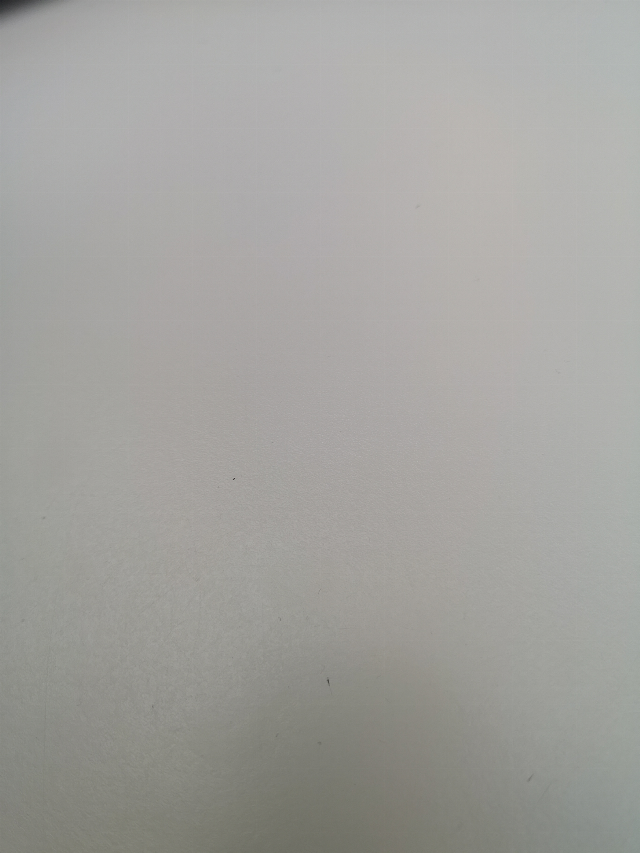 Europäische Hauskatze