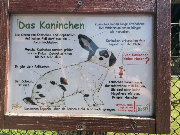 Fundtier Tier-ID 38614