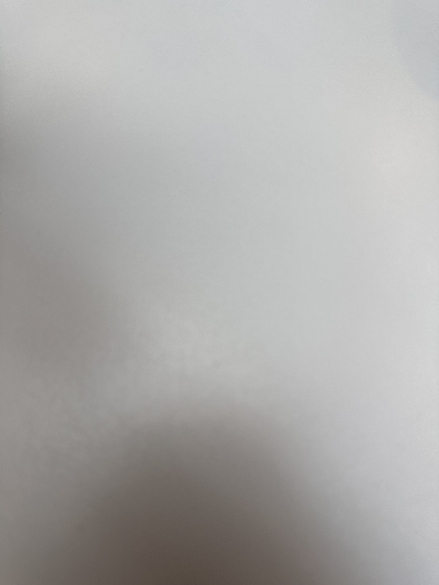 Europäische Hauskatze