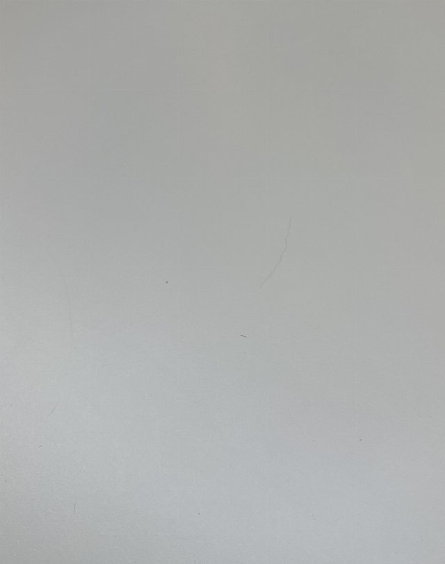 Europäische Hauskatze