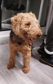 Fundtier Tier-ID 38820