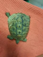 Fundtier Tier-ID 29643