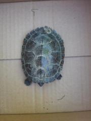 Fundtier Tier-ID 29957