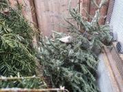 Fundtier Tier-ID 21158