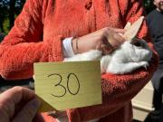 Fundtier Tier-ID 21817