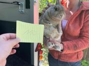 Fundtier Tier-ID 21783