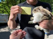 Fundtier Tier-ID 21805